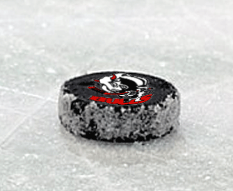 Eishockey Club Bulls Weiz