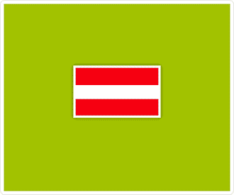 Xing Banner